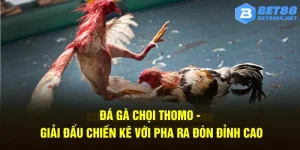 đá gà chọi thomo